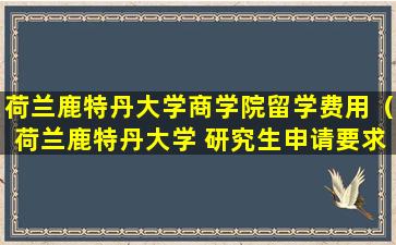 荷兰鹿特丹大学商学院留学费用（荷兰鹿特丹大学 研究生申请要求）